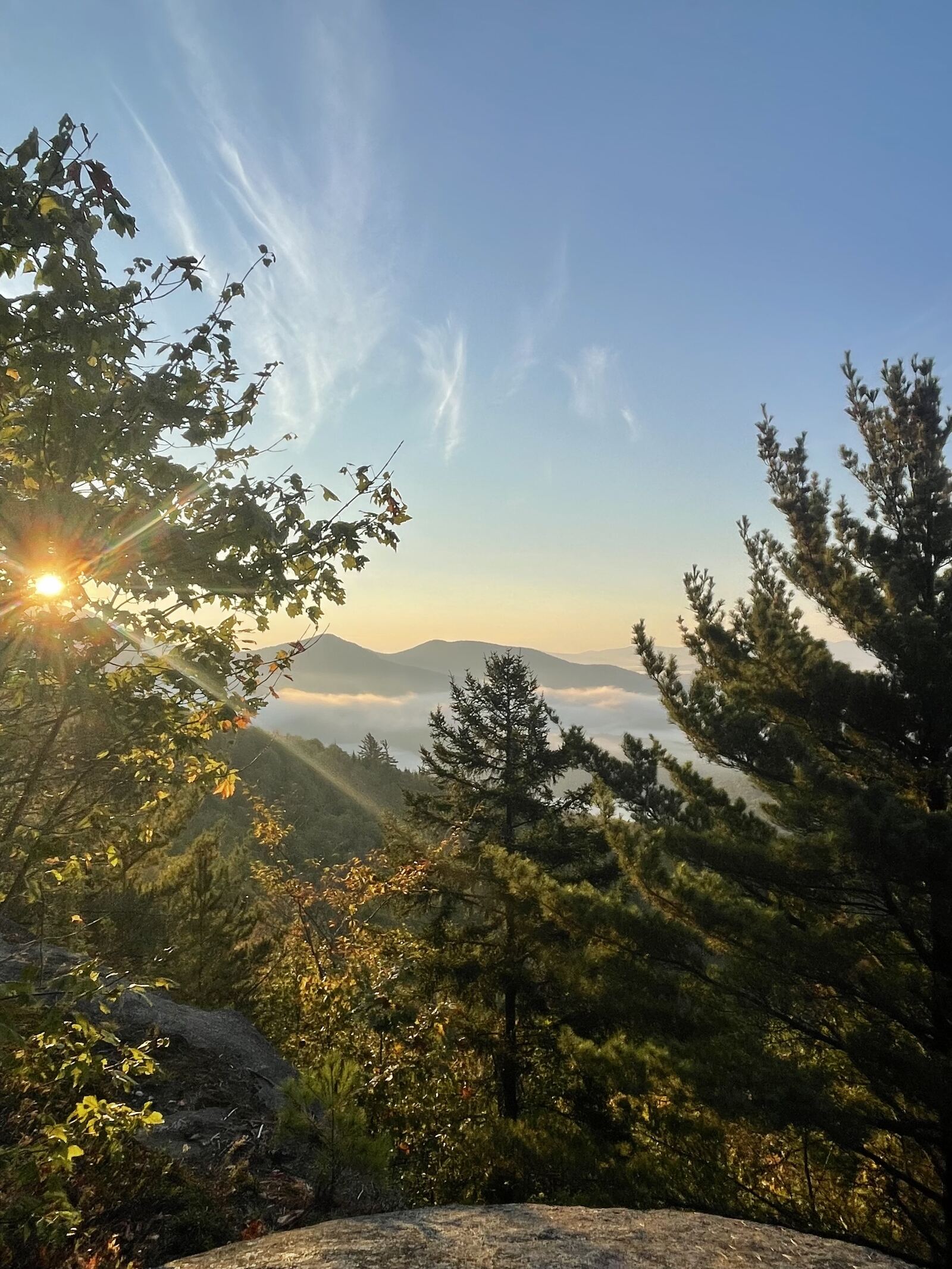 Sunrise over misty mountains through the trees